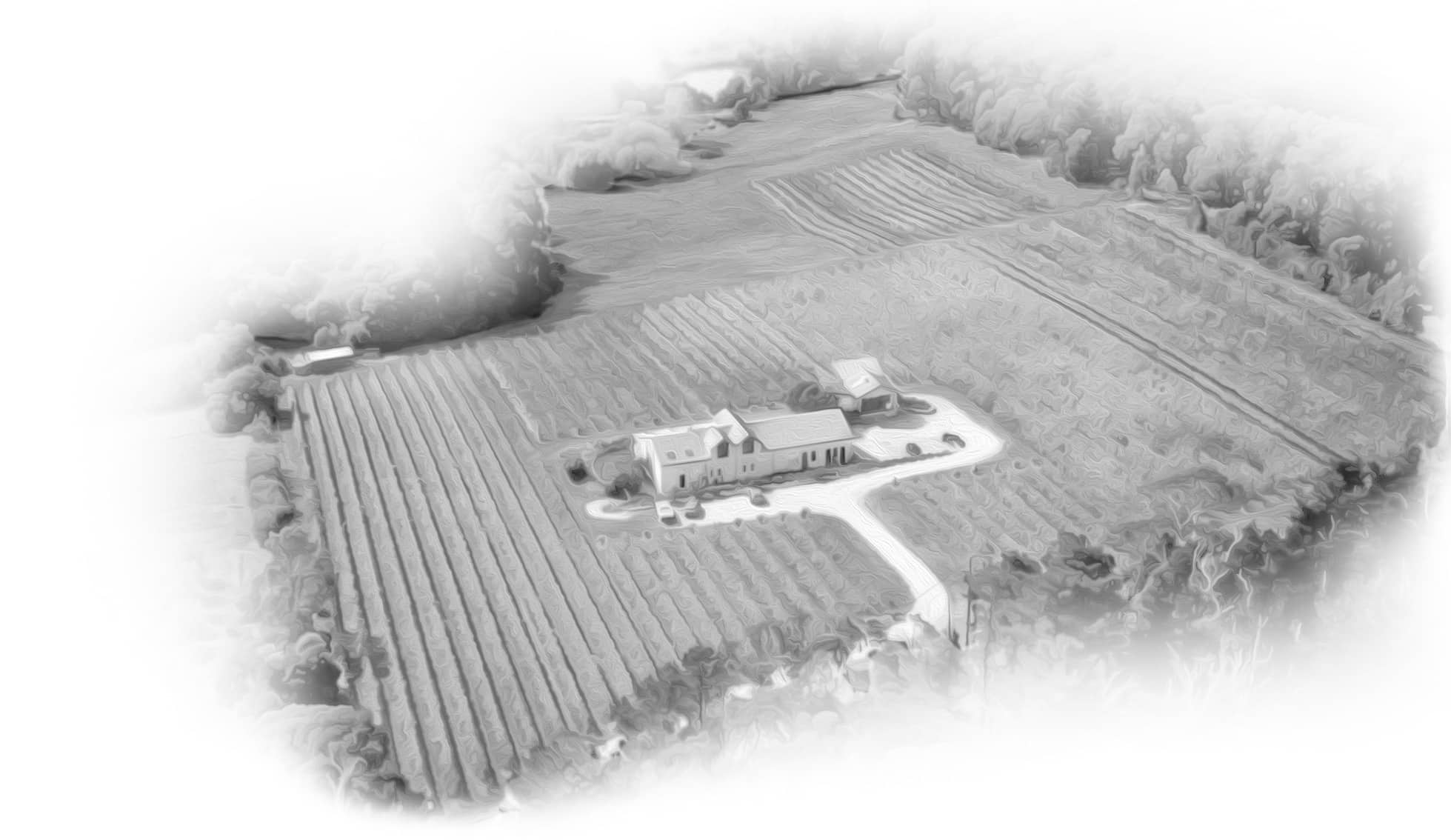 Bird's-eye map of Eldridge Estate vineyard blocks