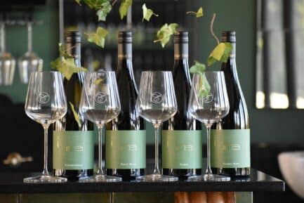 Back Vintage Member Special