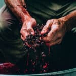 Mornington Peninsula Winemaking Pinot Noir